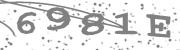 Type the letters in the image or Type the first letter of the words spoken in the audio.