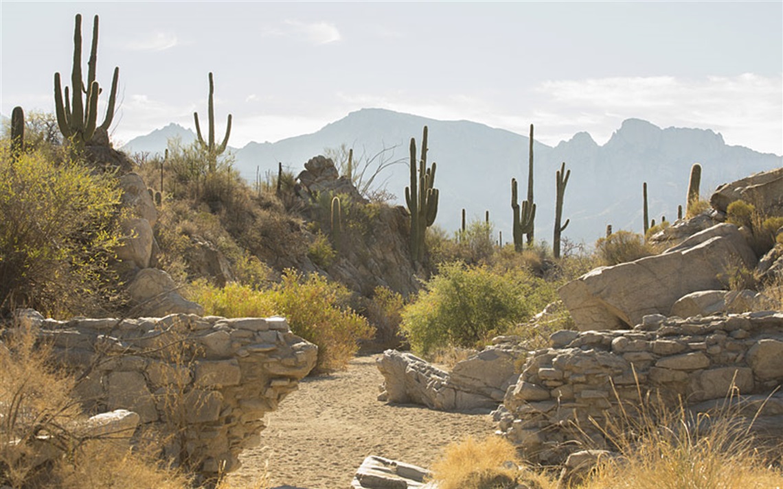Hiking path through ancient wall structures with mountain and saguaros in background