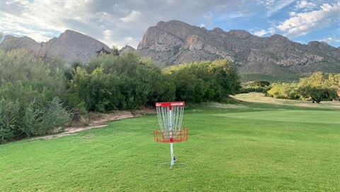 disc golf