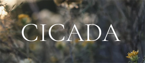 Cicada.PNG