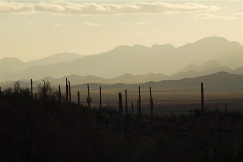 Elsa Jacklitch Photography.jpg