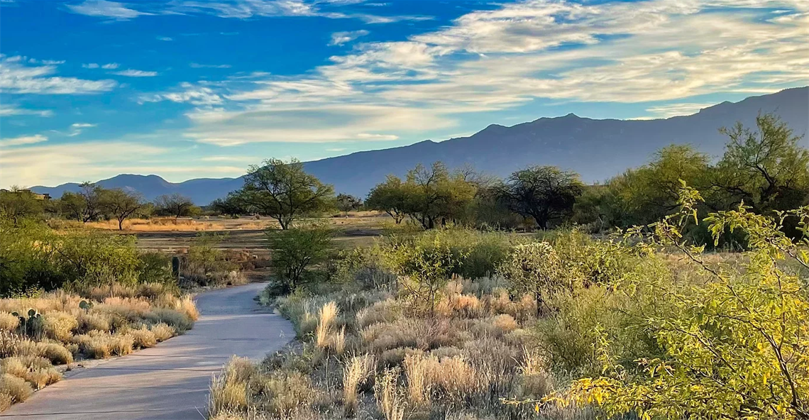 The Preserve at Valley View