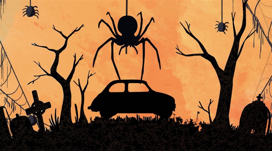 Haunted Car Rides Oro Valley it's in our nature