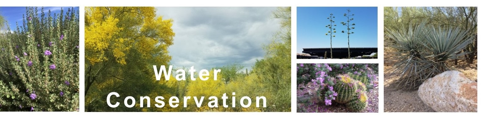 Water Conservation Collage.jpg
